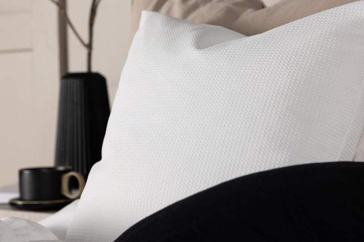 Celine Kuddfodral 50x50cm