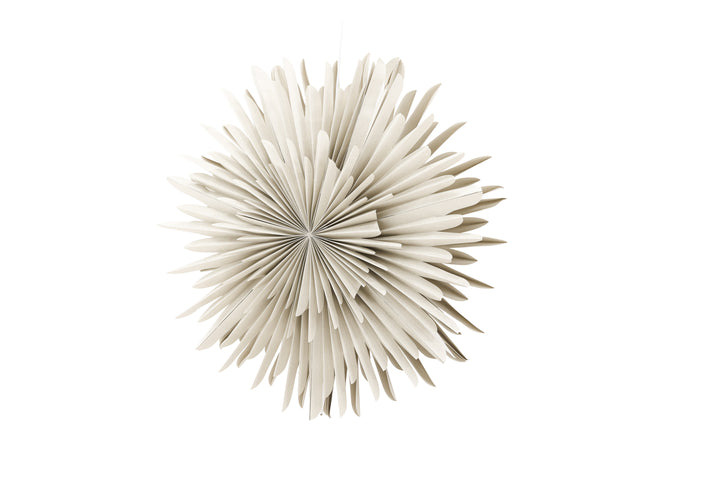 Sälen Adventsstjärna Beige