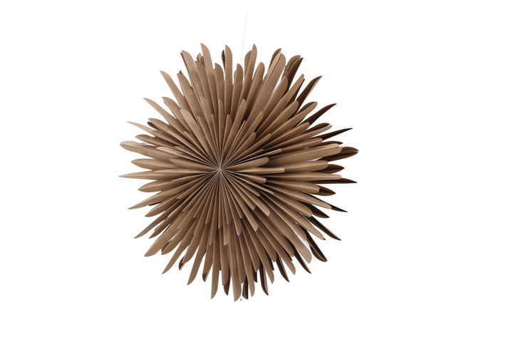 Sälen Adventsstjärna Brun