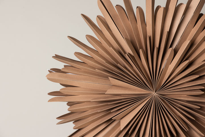 Sälen Adventsstjärna Brun