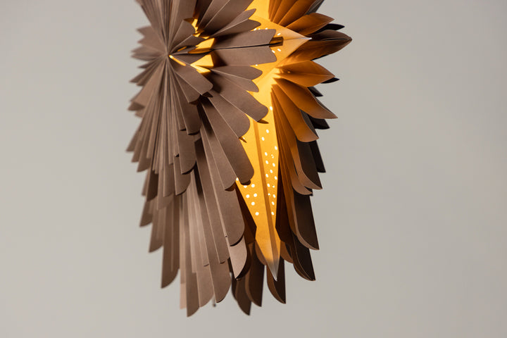 Sälen Adventsstjärna Brun