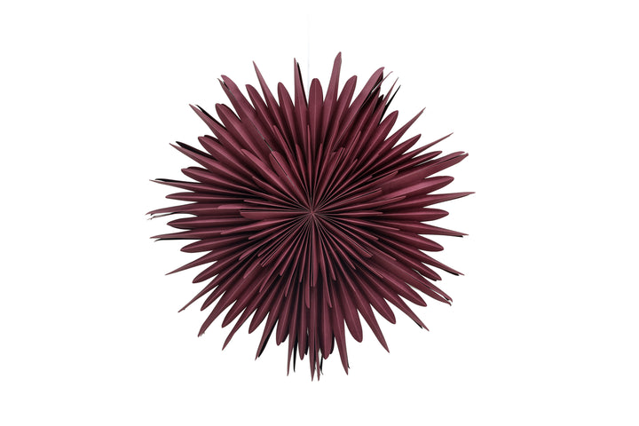 Sälen Adventsstjärna Mörkröd