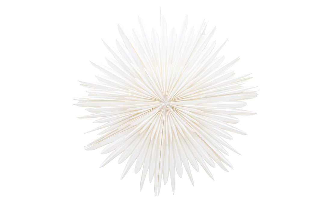 Sälen Adventsstjärna Vit