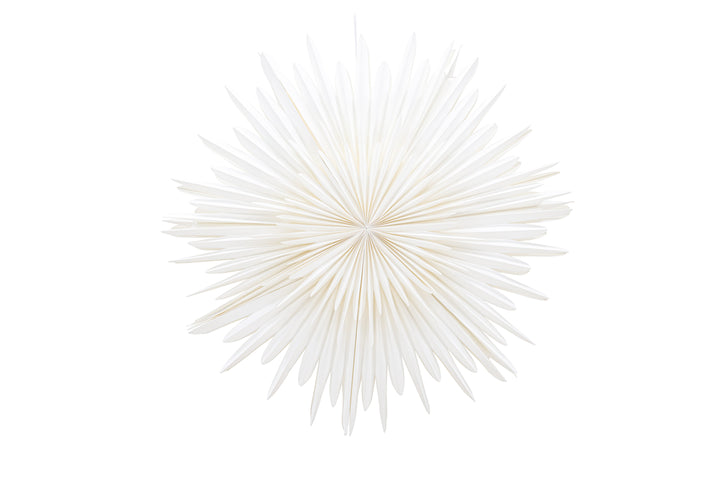 Sälen Adventsstjärna Vit