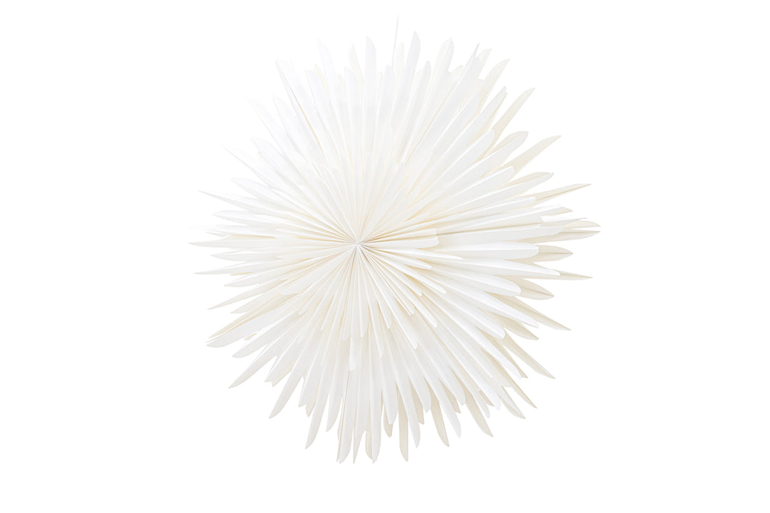 Sälen Adventsstjärna Vit