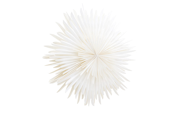 Sälen Adventsstjärna Vit