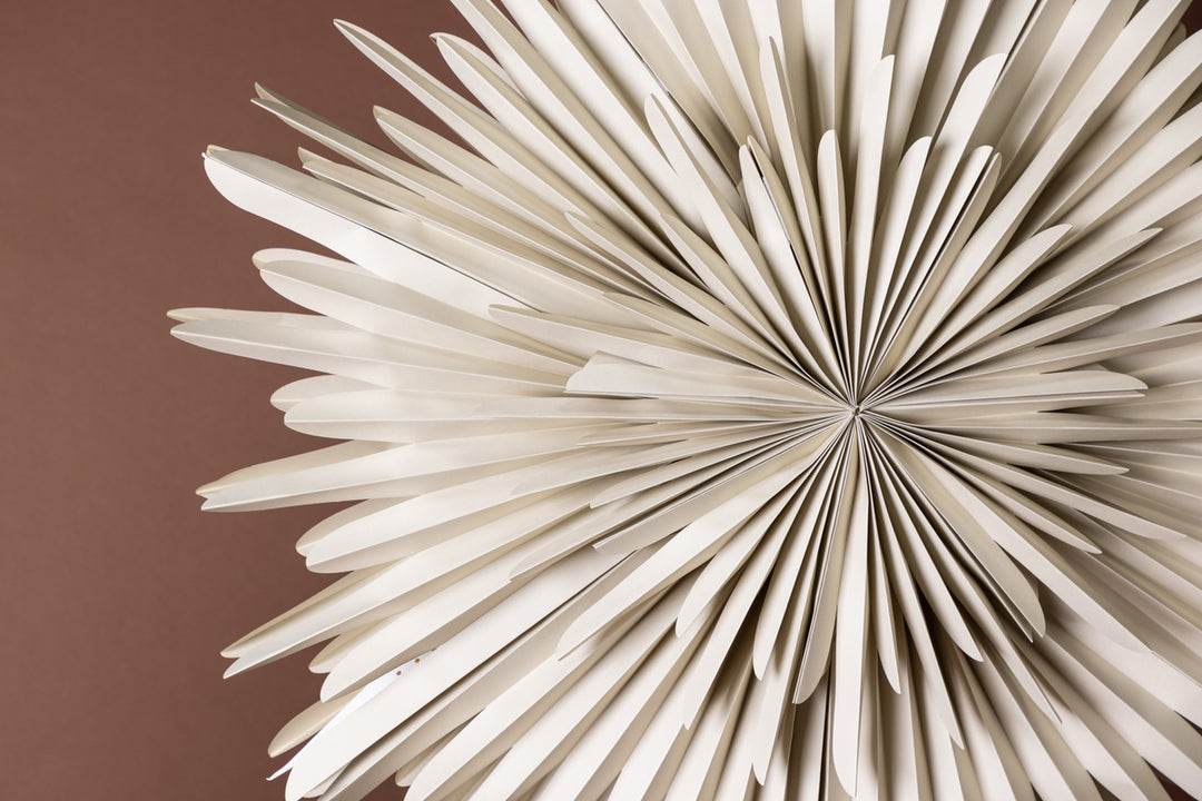 Sälen Taklampor Adventsstjärna Beige