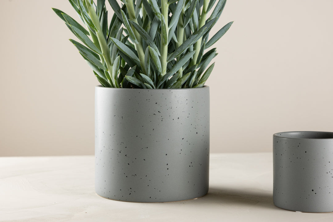 Sane Kruka Mörkgrå