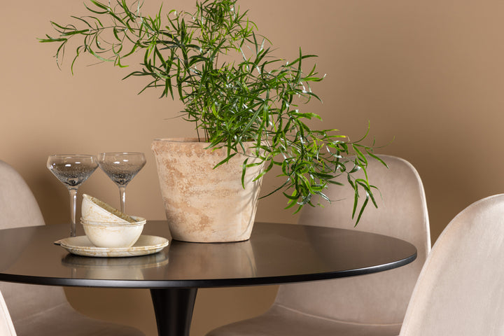 Polar & Glade Matgrupp Beige/Svart