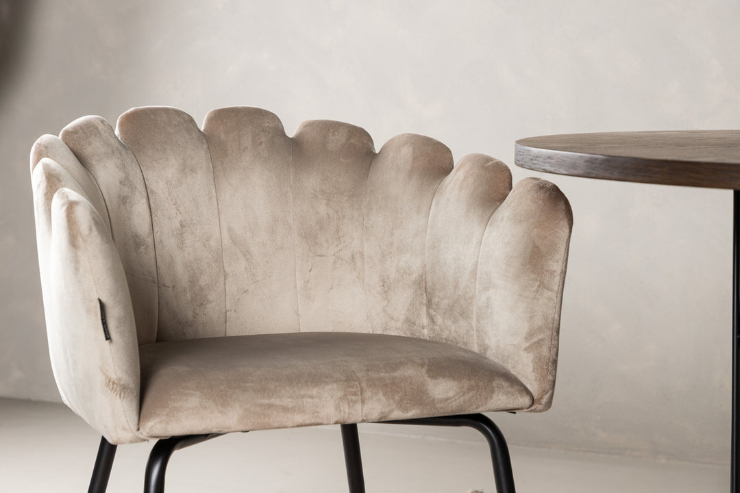 Limhamn & Stone Matgrupp