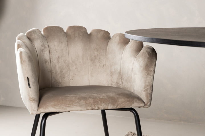 Limhamn & Bootcut Matgrupp