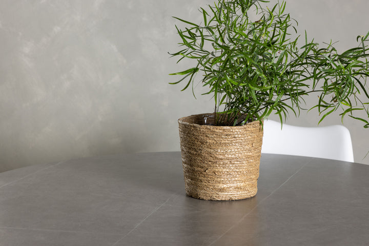 Piazza & Zeno Matgrupp Grå/Vit