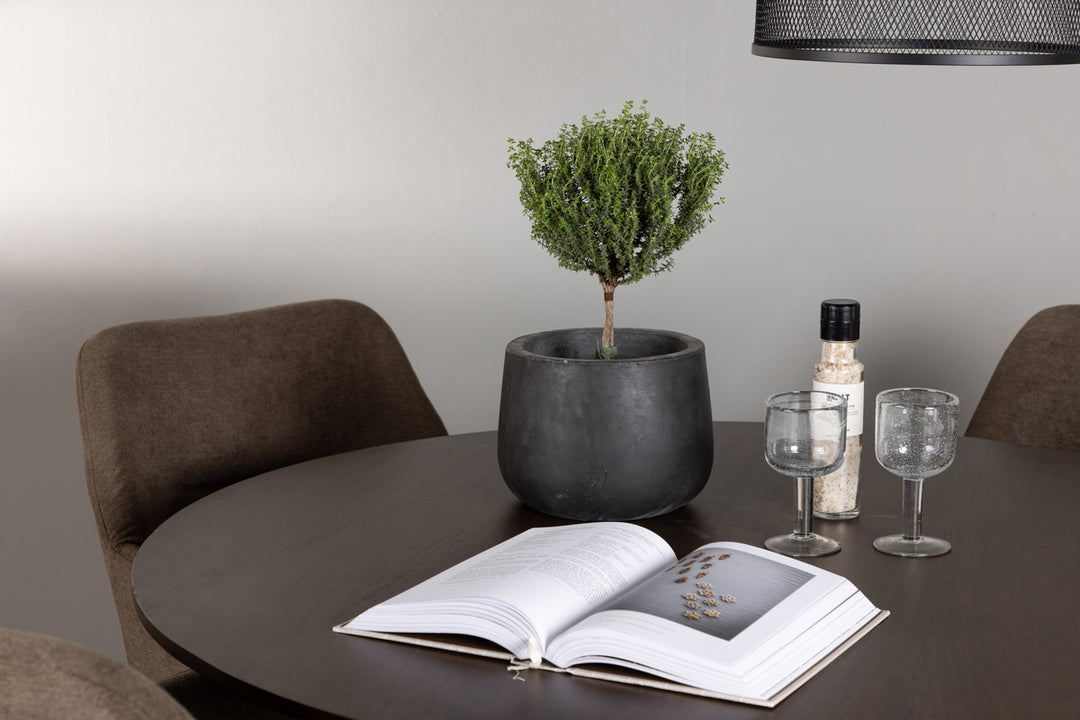 Kaseidon & Tomorrow Matgrupp Brun