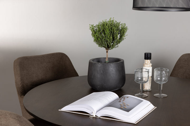 Kaseidon & Tomorrow Matgrupp Brun